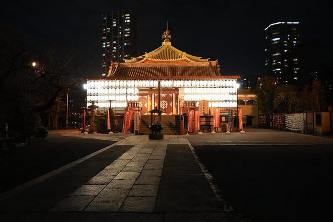 Tokyo Night Tour Akihabara, Shibuya, Karaoke and City Lights - Guides, Language, and Group Size