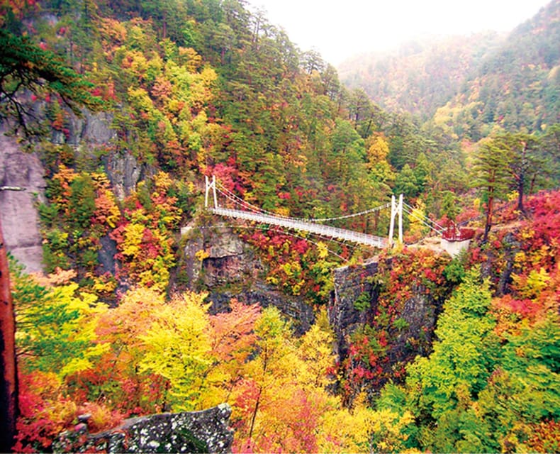 Tokyo: Nikko Day Tour with English Driver and Flexible … - The optional Edo Wonderland extension