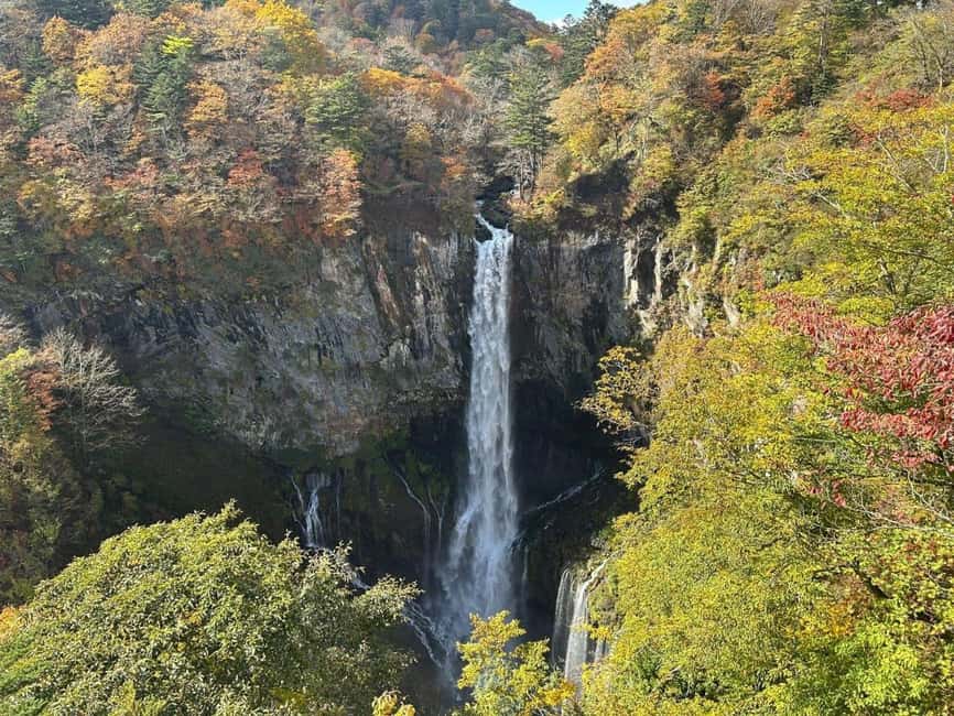 Tokyo → Nikko:Private Customizable Day Trip (English Driver) - Why a private car changes the Tokyo to Nikko day