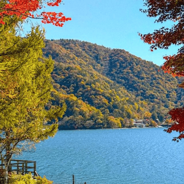Tokyo → Nikko:Private Customizable Day Trip (English Driver) - Toshogu Shrine and the cultural heart of Nikko