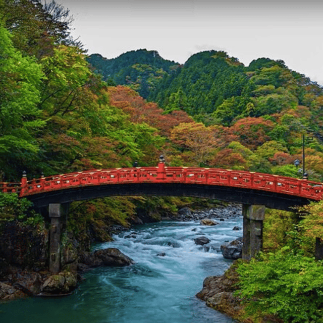 Tokyo → Nikko:Private Customizable Day Trip (English Driver) - Edo Wonderland: fun, but only for the right group