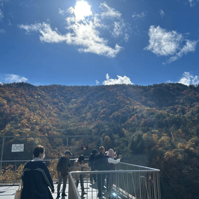 Tokyo → Nikko:Private Customizable Day Trip (English Driver) - What the drivers add to the experience