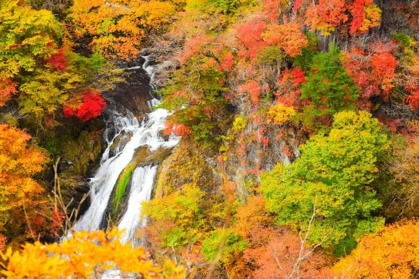 Tokyo: Nikko Private Sightseeing Day Trip with Driver - Spending two hours at Nikko Toshogu