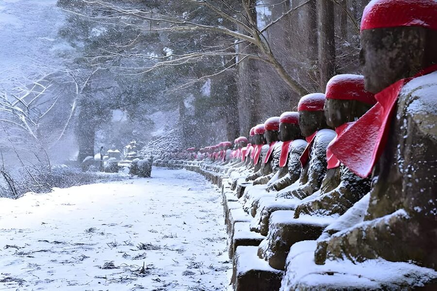 Tokyo: Nikko Private Sightseeing Day Trip with Driver - What the private driver adds