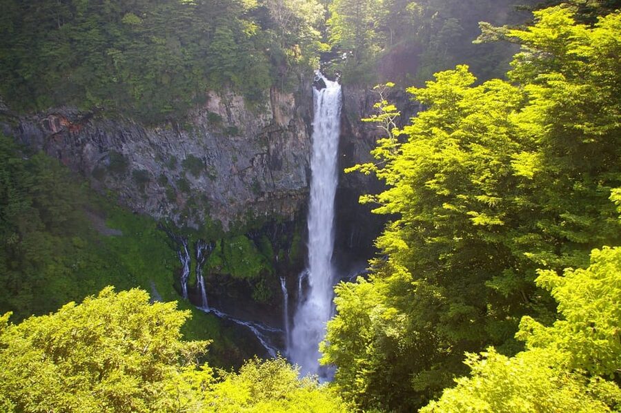 Tokyo: Nikko Private Sightseeing Day Trip with Driver - Timing, comfort, and practical limits