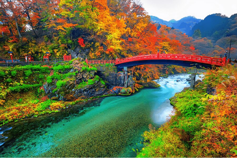 Tokyo: Nikko Private Sightseeing Day Trip with Driver - Starting with Shinkyo Bridge