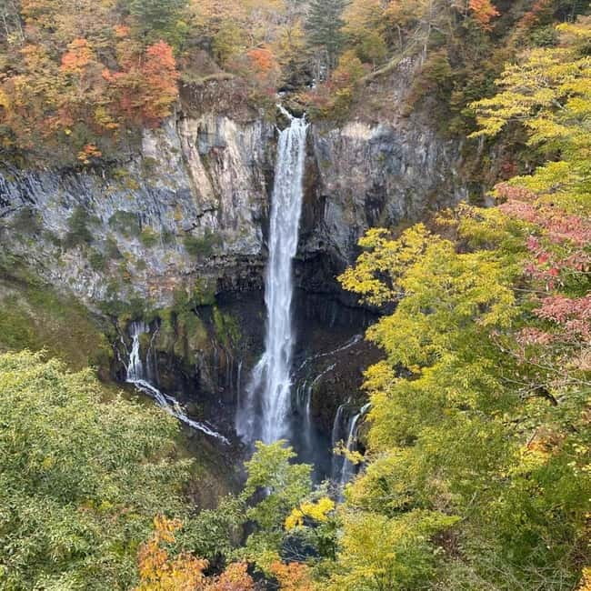 Tokyo:Nikko UNESCO World Heritage Sites Private 1-Day Tour - Toshogu Shrine, Nikko’s grand centerpiece