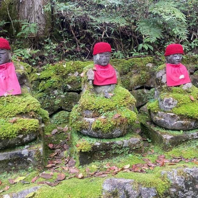 Tokyo:Nikko UNESCO World Heritage Sites Private 1-Day Tour - Nikko National Park and the short nature window