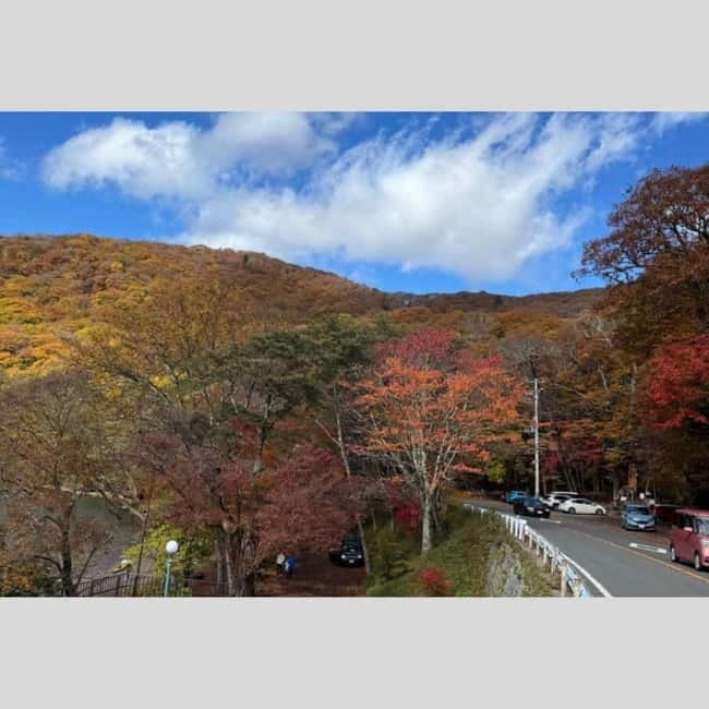 Tokyo: Nikko World Heritage Private Day Trip Hotel Pick-up - Shinkyo Bridge and the first taste of Nikko