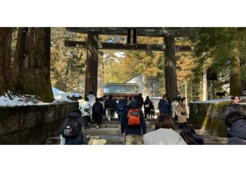 Tokyo: Nikko World Heritage Private Day Trip Hotel Pick-up - The private vehicle and the value of $390