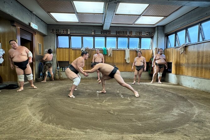 TOKYO , No1 Yokozuna Stable Morning Practice in Ryogoku - Is $110 a fair price?