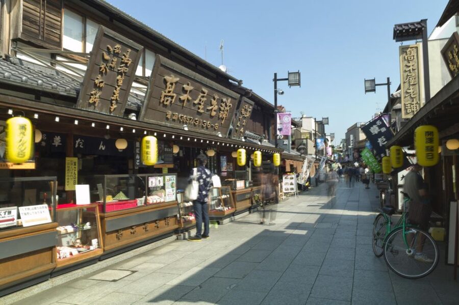 Tokyo: Off the Beaten Path Private Guided Tour - Nezu, Sendagi, and Fukagawa for a quieter Tokyo
