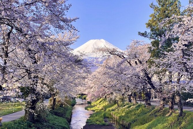 TOKYO OishiPark, Oshino & KoedoKawagoe, Fuji Mount - Oishi Park and the first look at Lake Kawaguchiko