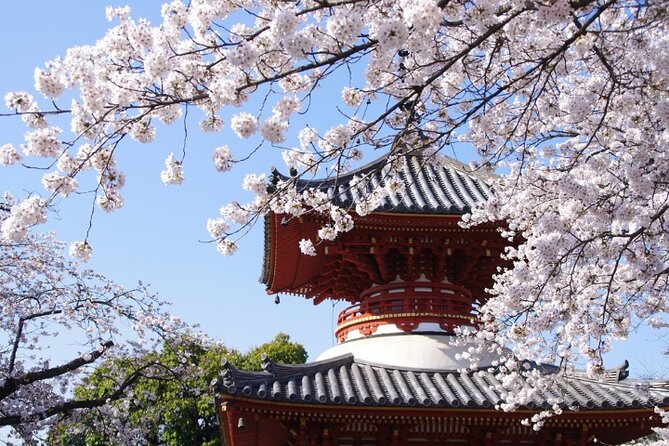 TOKYO OishiPark, Oshino & KoedoKawagoe, Fuji Mount - Oshino Hakkai and Mount Fuji spring water