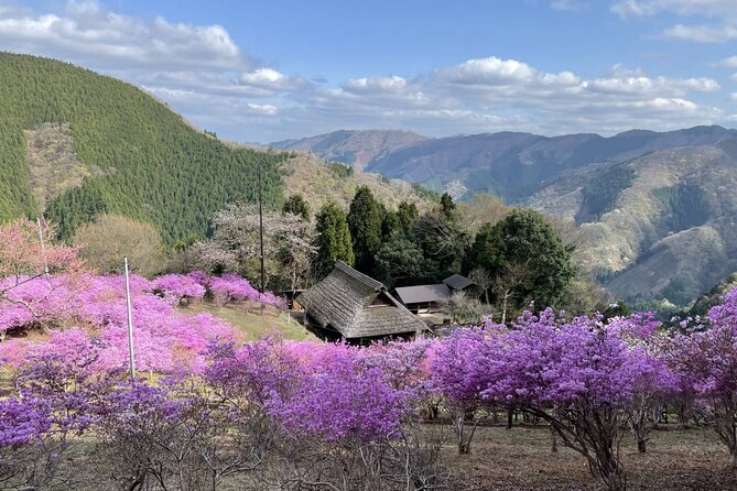 Tokyo Okutama Day Trip Tour - What the $165.13 price covers