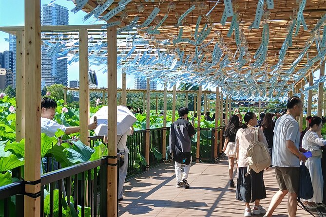 Tokyo Old Town Discovery Walk. Lunch Included - Why This Route Shows You More Than Tokyo’s Famous Center