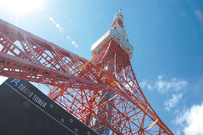 Tokyo Panoramic 1 Day: Meiji Shrine, Asakusa, Odaiba and SKYTREE® - The Imperial Palace and the view from Nijubashi Bridge