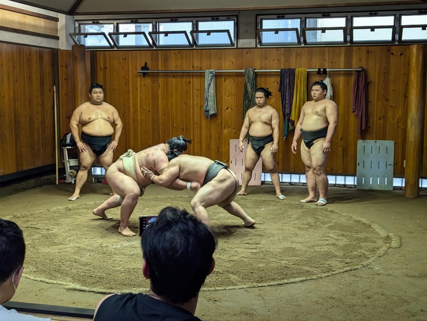 Tokyo: Personalized Half-day Tour - Key points to know before booking