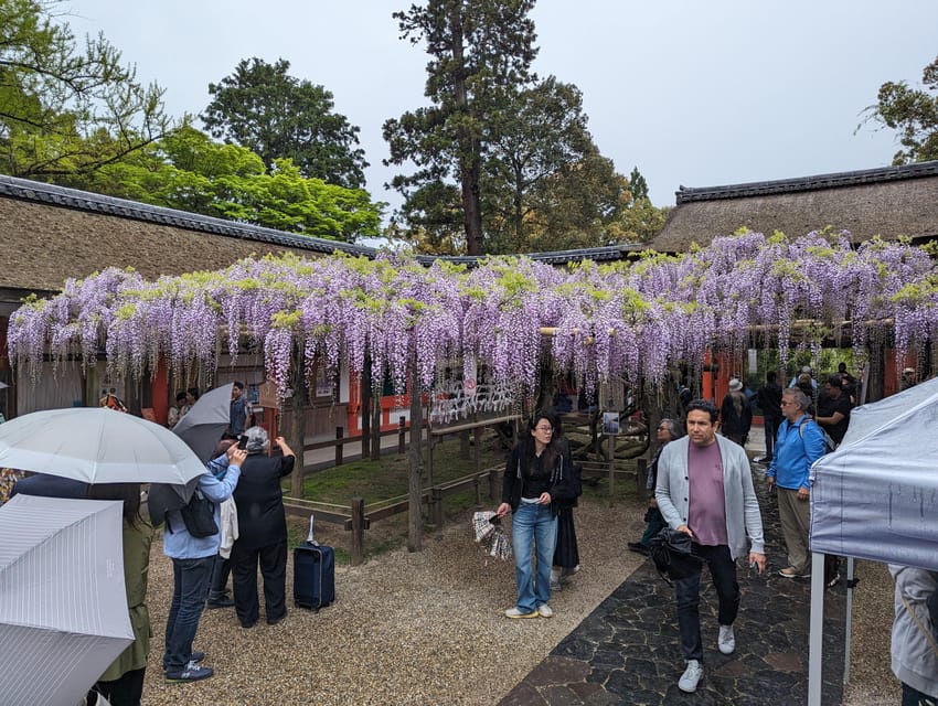 Tokyo: Personalized Half-day Tour - Who will get the most from this tour?