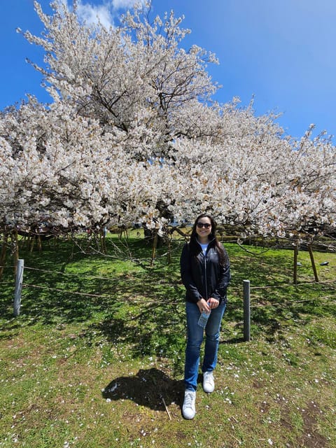 Tokyo: Personalized Half-day Tour - What $129 per person really buys