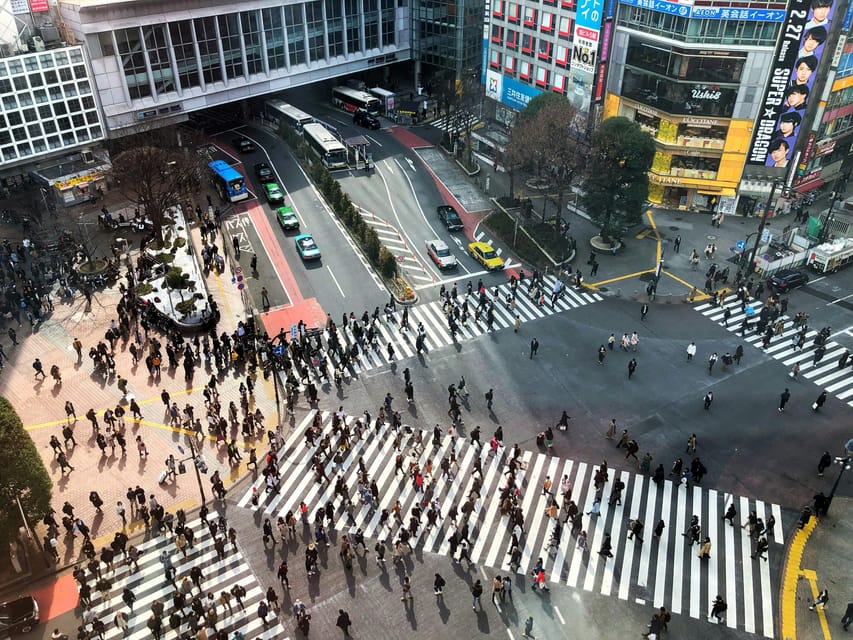Tokyo: Personalized Private 6-Hour Tour - Is $459 a fair price?