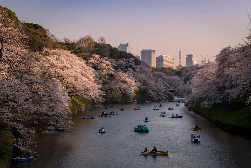 Tokyo: Photography Masterclass - Private Photo Lesson - Finding quieter frames in Shibuya’s back streets