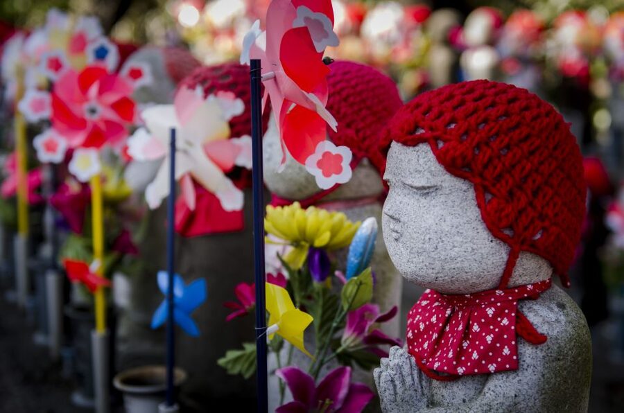 Tokyo: Photography Masterclass - Private Photo Lesson - Starting at Hachiko and Shibuya Crossing