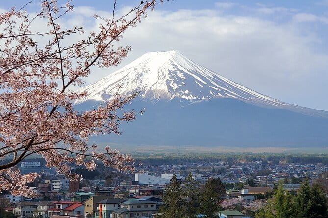 Tokyo Pre Japan Planning Kit Itineraries, Food & Survival - Day 4: Odaiba, gardens, and Shinjuku after dark