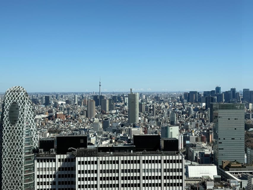Tokyo: Private 1-Day Sightseeing Tour by Car with Guide - Cultural and historical context from a local guide