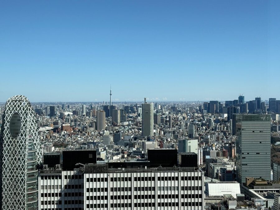 Tokyo: Private 1-Day Sightseeing Tour by Car with Guide - Lunch and admission costs need planning