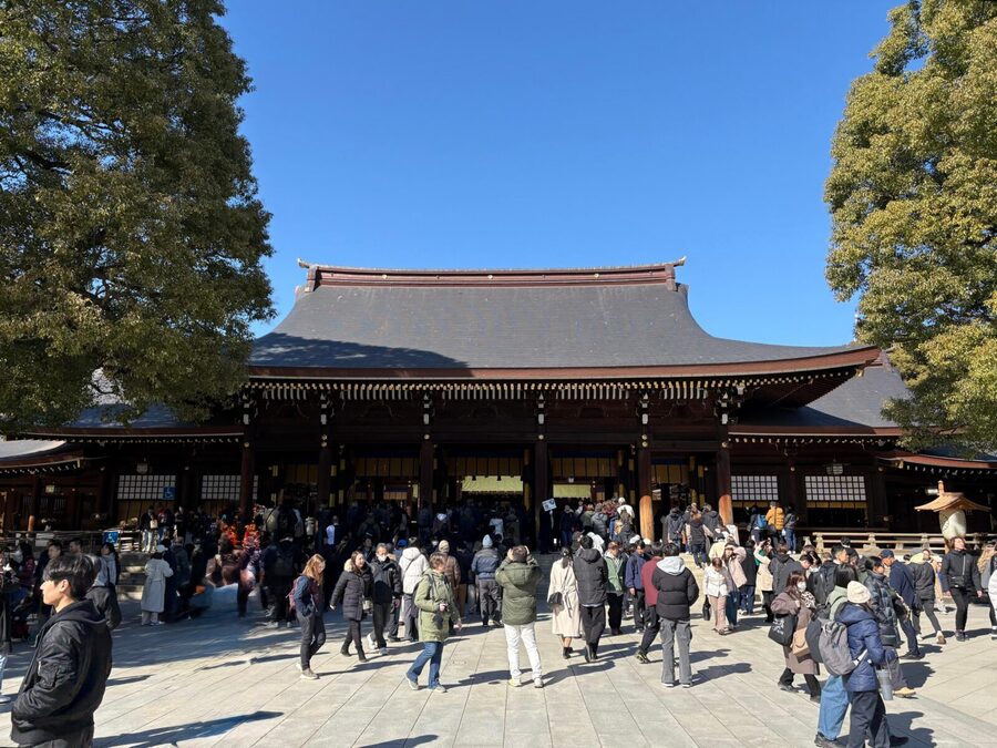 Tokyo: Private 1-Day Sightseeing Tour by Car with Guide - Traffic is the one thing the car cannot fix