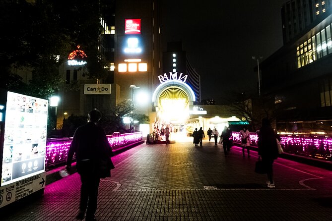 Tokyo Private Art Tour in Kagurazaka Shinjuku with Licensed Guide - Akagi Shrine, a modern face of religion