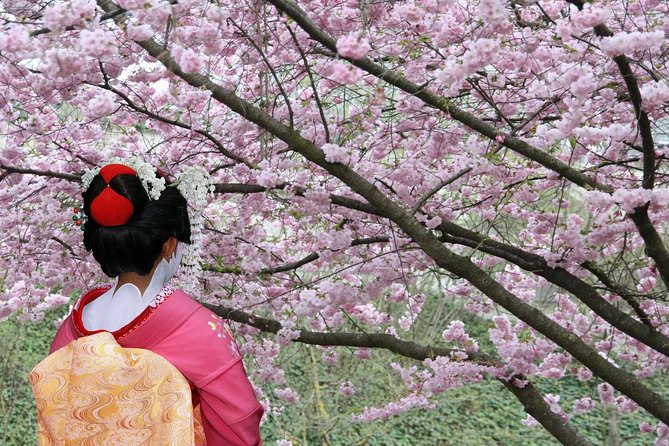 Tokyo Private Cherry Blossom Tour with a Local – Picnic Included - Senso-ji pairs blossoms with Tokyo’s best-known temple setting