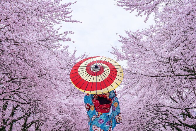 Tokyo Private Cherry Blossom Tour with a Local – Picnic Included - Nakamise Street adds snacks and souvenir browsing