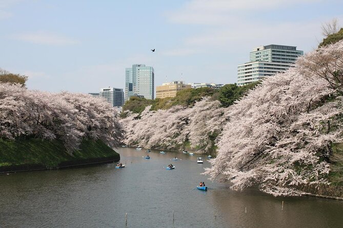 Tokyo Private Cherry Blossom Tour with a Local – Picnic Included - Yanaka Cemetery brings a quieter side of Tokyo