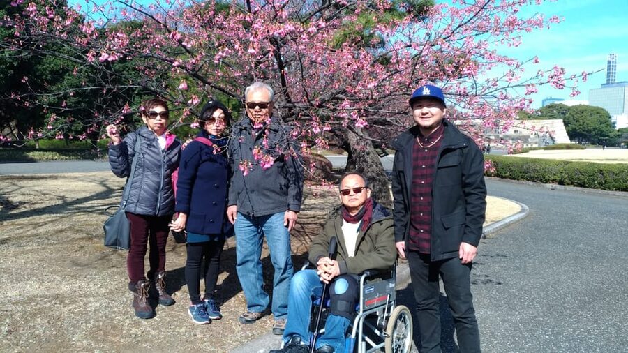 Tokyo: Private City Highlights Tour with Local Guide - Tsukiji Market and a Practical Tokyo Lunch