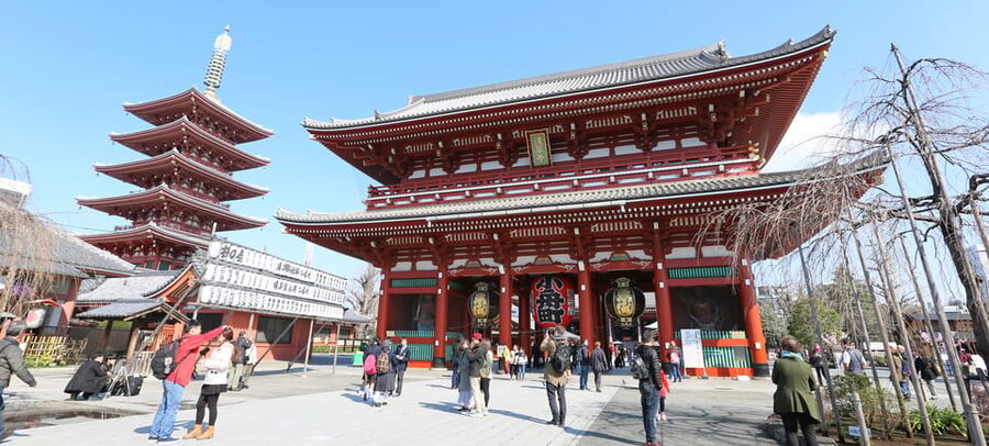 Tokyo: Private City Highlights Tour with Local Guide - Meiji Jingu and the Forest Near Harajuku