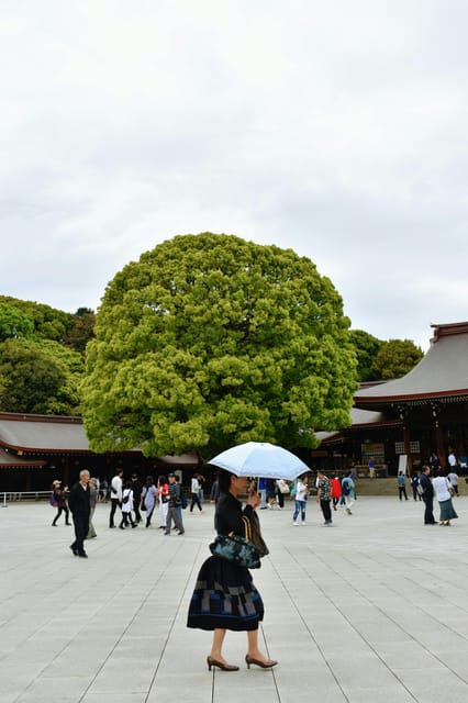 Tokyo: Private Customizable City Tour with Chauffeur - Tokyo Skytree provides the big city view