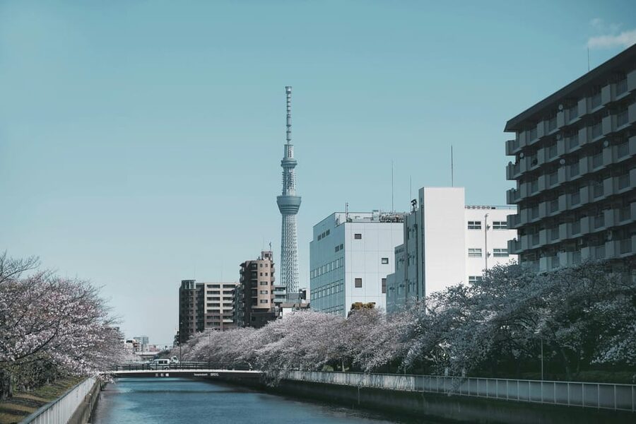 Tokyo: Private Customizable City Tour with Chauffeur - Tsukiji Outer Market starts the food story