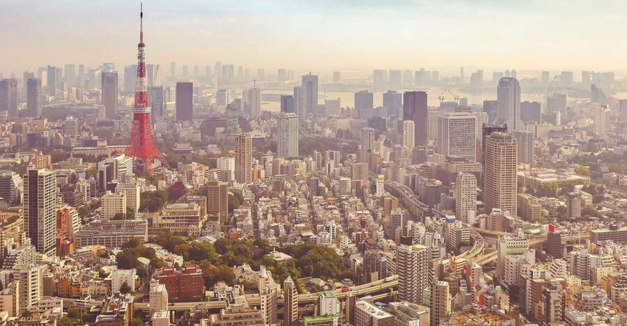 Tokyo: Private Customizable Day Tour of Tokyo - What each stop is really worth