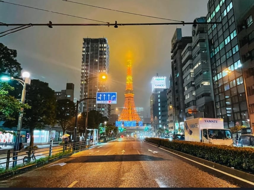 Tokyo: Private Customizable Day Tour with Chauffeur - Who should book this Tokyo tour