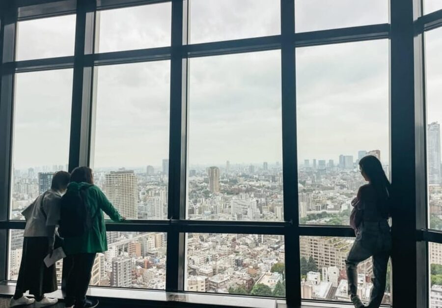 Tokyo: Private Customizable Day Tour with Chauffeur - Meiji Shrine and a quieter change of pace