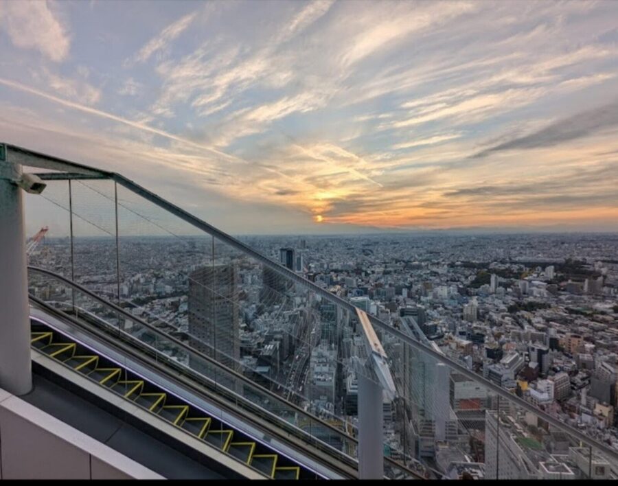 Tokyo: Private Customizable Day Tour with Chauffeur - Shibuya City and the famous crossing