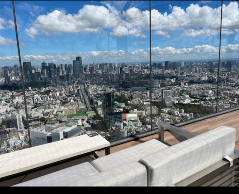 Tokyo: Private Customizable Day Tour with Chauffeur - What the private chauffeur format changes