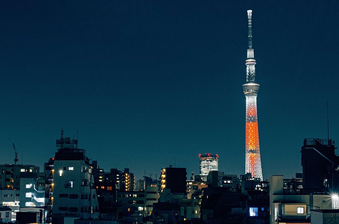Tokyo Private Customizable Full Day Tour - Tokyo Skytree for the big city view
