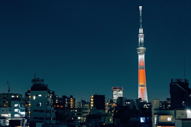 Tokyo Private Customizable Full Day Tour - Ueno Park and the quieter old neighborhoods