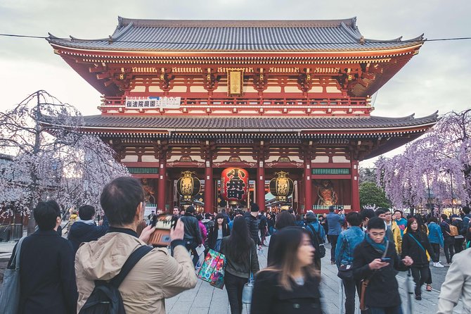 Tokyo Private Customizable Full Day Tour - What eight hours can realistically cover
