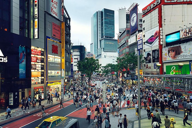 Tokyo Private Customizable Half Day Tour - How the transport choice changes the experience