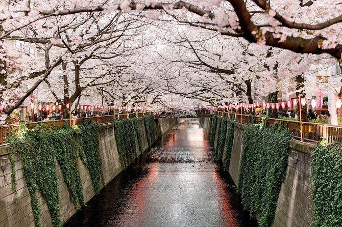 Tokyo Private Customizable Half Day Tour - Who should book this four-hour tour