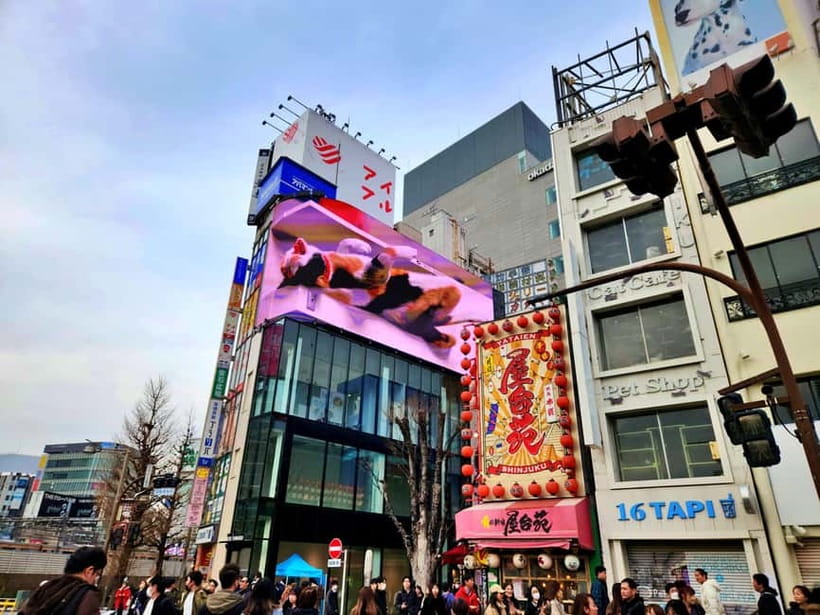 Tokyo: Private & Customizable Tour - All-in-One Experience - How to prepare for a better day